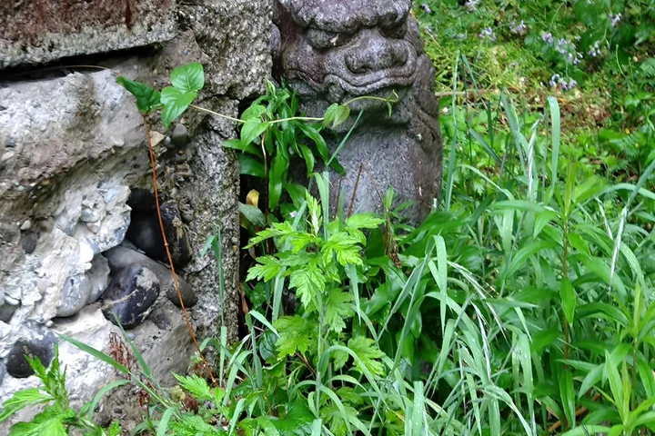 緑に囲まれた石の守り神