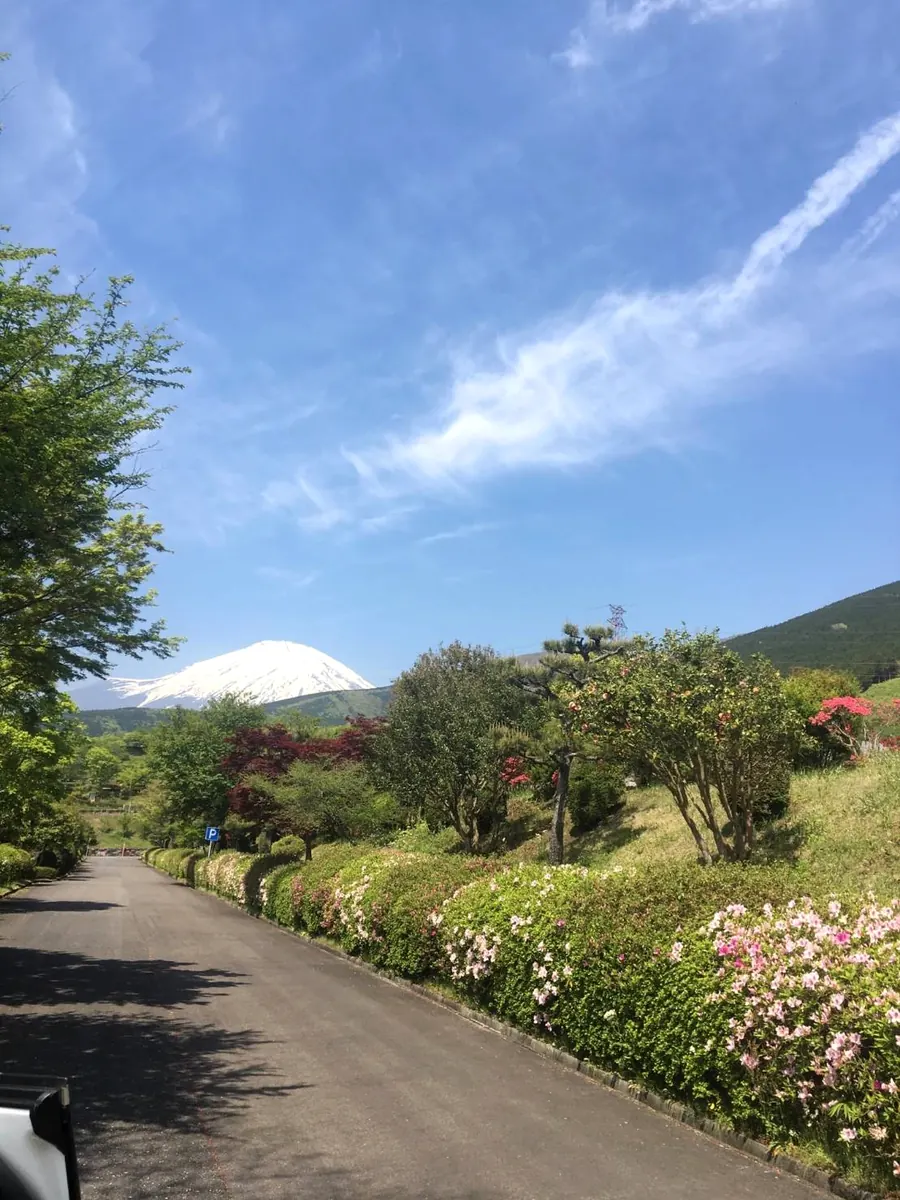 青空と遠くの山を望む道