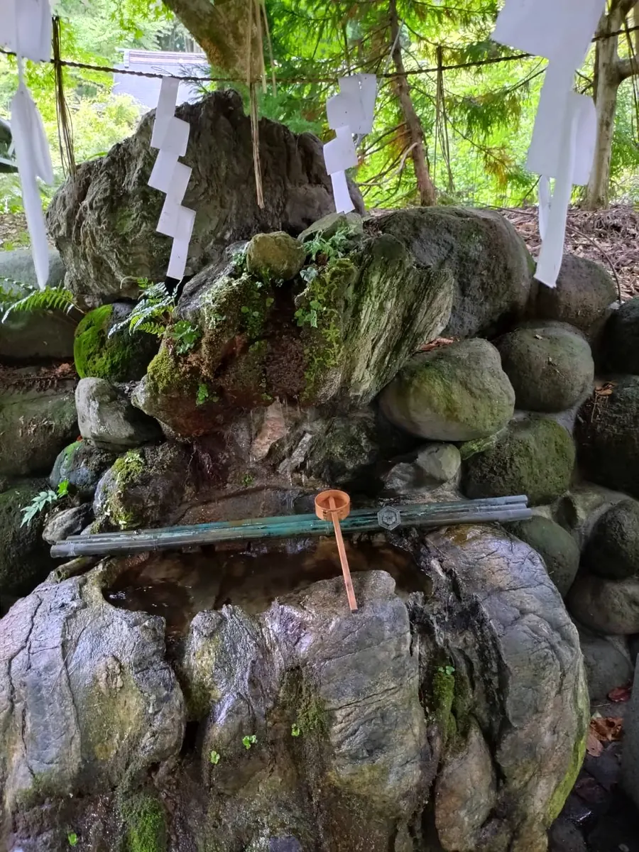 苔むした石と水場